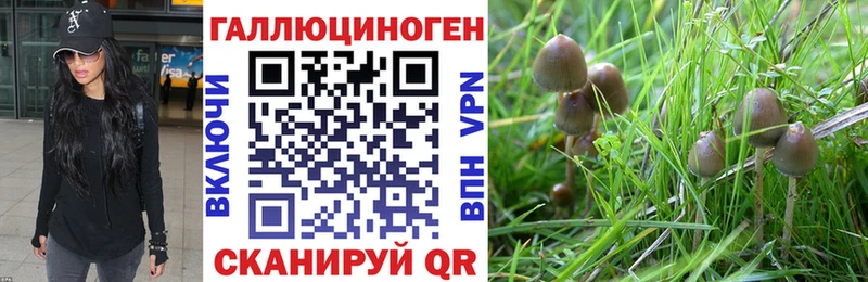 Псилоцибиновые грибы прущие грибы blacksprut ССЫЛКА Ленинградская купить наркотик